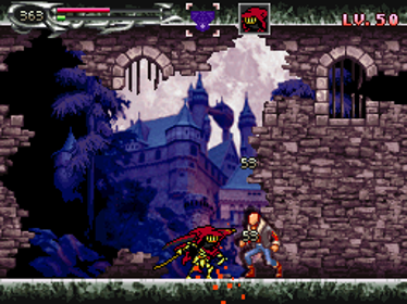 Castlevania: Specter of Sorrow - Screenshot - Gameplay (World) - 256x192