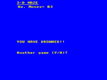 3D-Maze - Screenshot - Game Over (null) - 1024x768