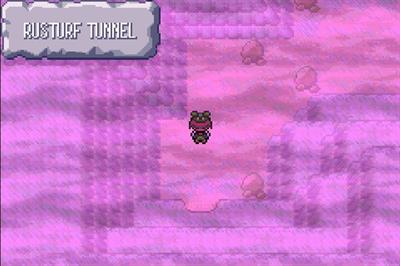 Pokémon Conversion Emerald - Screenshot - Gameplay (null) - 720x480