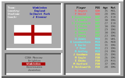 Footy Fanatic - Screenshot - Gameplay (null) - 640x400