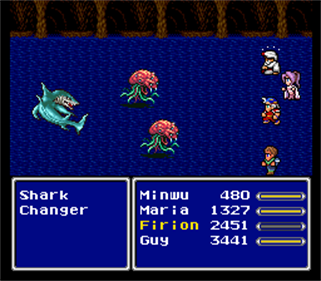 Final Fantasy C2 - Screenshot - Gameplay (World) - 256x224