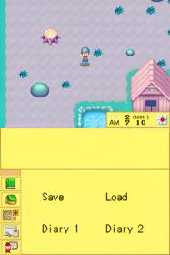 Harvest Moon DS - Screenshot - Gameplay (null) - 512x768