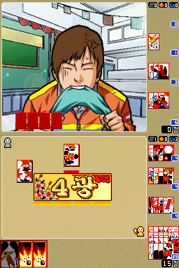 Illustration of Touch! Go-Stop DS