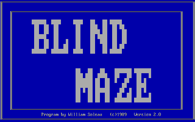 Blind Maze - Screenshot - Game Title (null) - 640x400