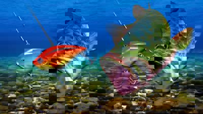 Dreamcast Collection: Sega Bass Fishing - Fanart - Background (World) - 400x225