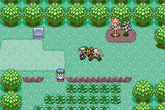 Illustration of Pokémon Emerald Chaos Ambulation
