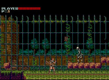 Mega Castlevania IV - Screenshot - Gameplay (null) - 628x460