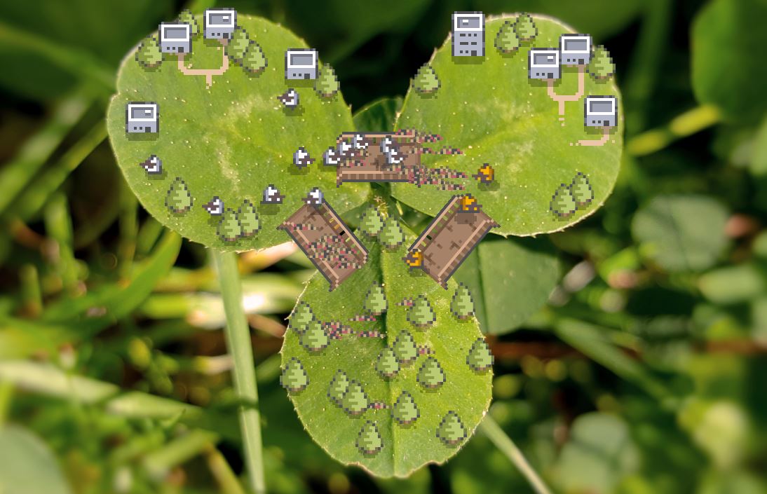 Illustration of Clover Fields
