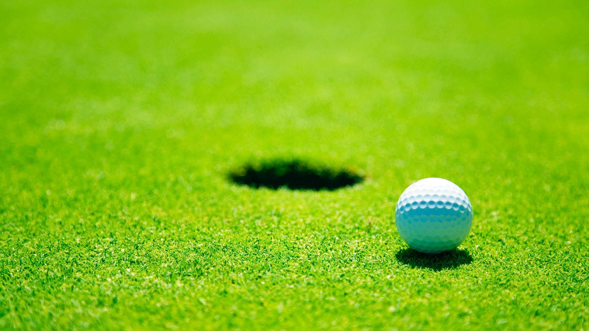 Illustration of Putter Golf