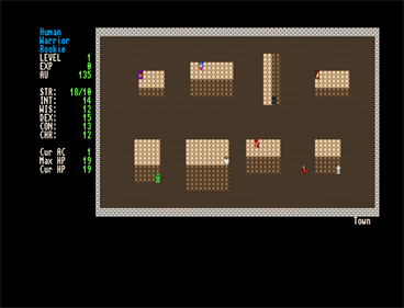 Angband - Screenshot - Gameplay (null) - 752x574