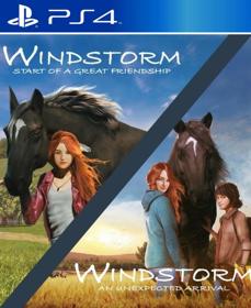 Windstorm Double Pack - Fanart - Box - Front (null) - 805x986