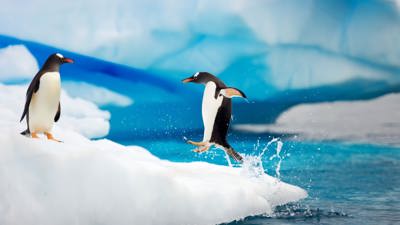 Penguin Adventure - Fanart - Background (World) - 1920x1080