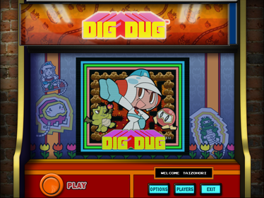 Namco All Stars: Dig Dug - Screenshot - Game Title (World) - 800x600