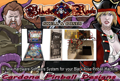 Black Rose: Skull and Bones - Banner (null) - 600x403