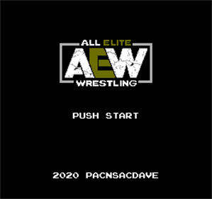 All Elite Wrestling 2020 - Screenshot - Game Title (World) - 256x240