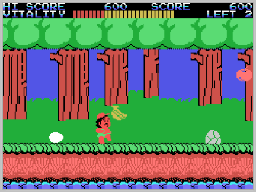 Illustration of Adventure Island