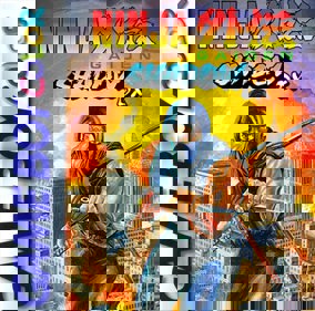 Ninja Gaiden Shadow DX - Fanart - Box - Front (North America) - 640x633