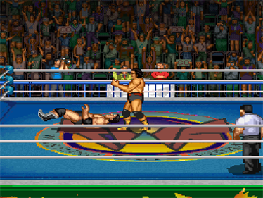 Champion Wrestler - Screenshot - Gameplay - 640x480