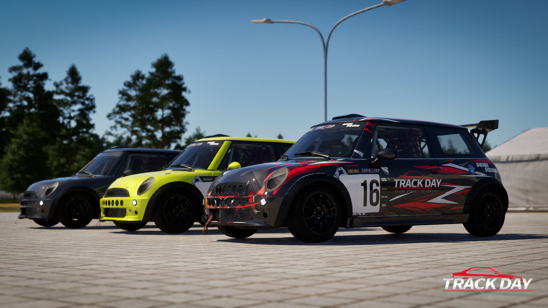 Illustration of Track Day: From Street to Circuit