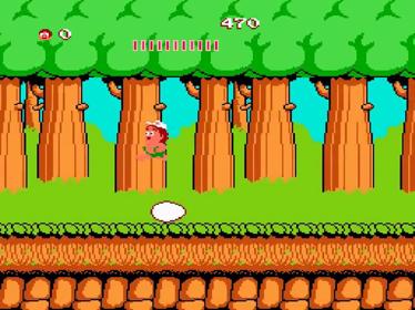 Adventure Island - Screenshot - Gameplay (null) - 1440x1080