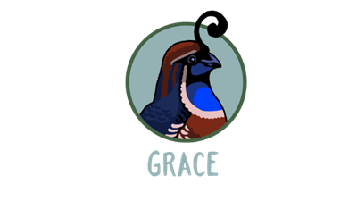 Grace - Clear Logo (null) - 640x360