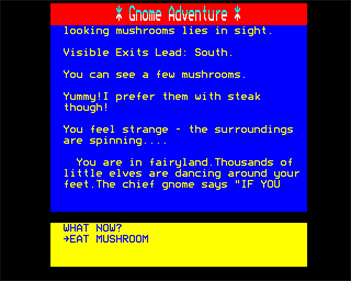 Gnome Adventure - Screenshot - Gameplay (null) - 640x512