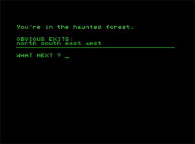 Adventure 3: Haunted Mansion - Screenshot - Gameplay (null) - 384x282