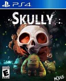 Skully - Fanart - Box - Front (null) - 805x986