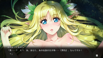 Youkoso! Sukebe Elf no Mori e - Screenshot - Gameplay (Japan) - 1280x720