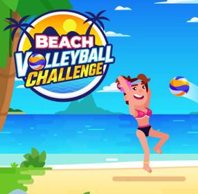 Beach Volleyball Challenge - Fanart - Box - Front (null) - 1009x988
