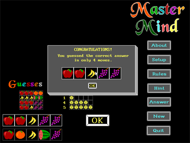 Master Mind (Expert Source Code) - Screenshot - Game Over (World) - 640x480