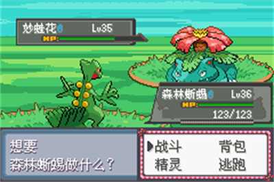 Pokémon Evil Drill 1 Star Stone - Screenshot - Gameplay (null) - 240x160