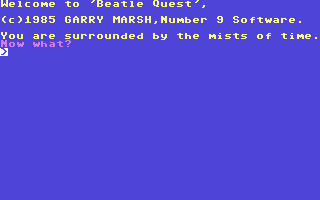 Illustration of Beatle Quest