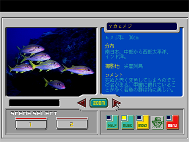 Hyper Aquarium: Kaisui-hen - Screenshot - Gameplay (null) - 640x480
