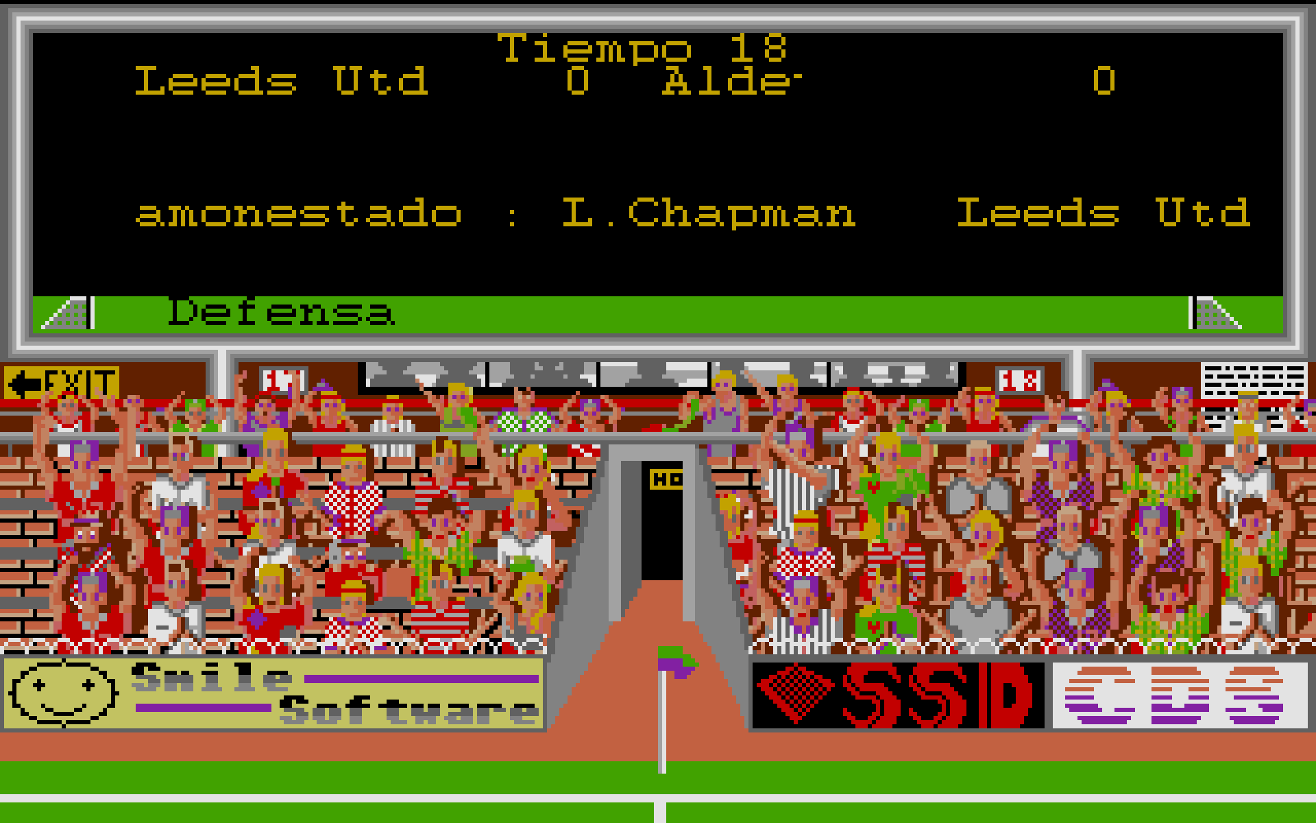 Illustration of Leeds United Champions
