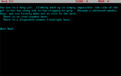 In the Year 2366: Klingon Role Playing Game - Screenshot - Gameplay (null) - 640x400