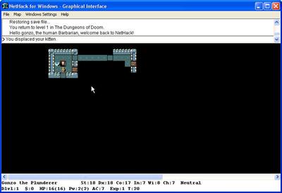 NetHack - Screenshot - Gameplay (null) - 768x527