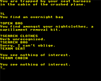 Plane Crash - Screenshot - Gameplay (null) - 320x256