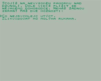 Cesta Bojovnika - Screenshot - Gameplay (null) - 631x504