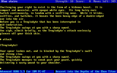 Advanced Xoru - Screenshot - Gameplay (null) - 640x400