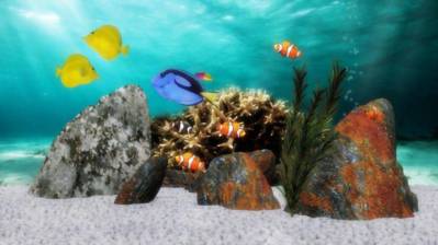 myFishtank - Screenshot - Gameplay (World) - 1000x562