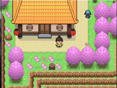 Pokémon Bushido - Screenshot - Gameplay (World) - 1024x768