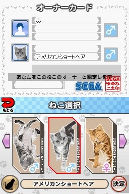 Illustration of Yume Neko DS