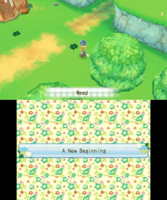 Harvest Moon 3D: A New Beginning - Screenshot - Gameplay (null) - 900x1080