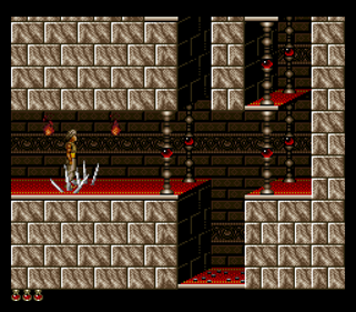 Prince Of Persia: Evolution - Screenshot - Gameplay (null) - 256x224