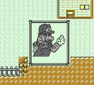 Pokémon Joel's Bizarre PokeVenture - Screenshot - Gameplay (null) - 319x288