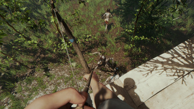 The Forest - Screenshot - Gameplay (null) - 1920x1080