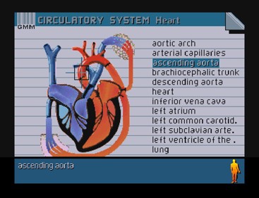 The Human Body - Screenshot - Gameplay (null) - 750x574