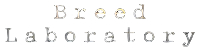 Breed Laboratory - Clear Logo (World) - 698x175