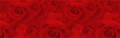 Heisei Pistol Show - Fanart - Background (null) - 1920x620